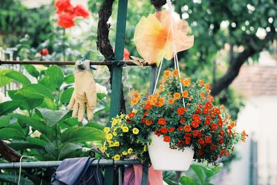 Close-up of flowers blooming in garden