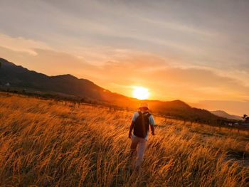 Rear view of man on field against sky during sunset