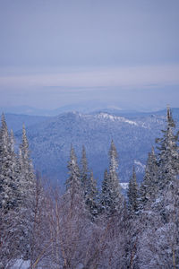 winter