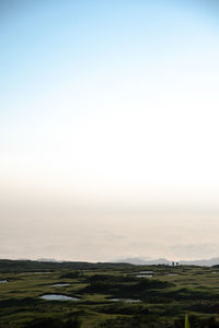 Scenic view of field against clear sky