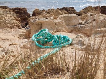 Garbage on rock by sea shore