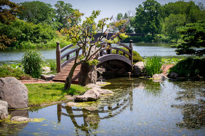 Bridge over lake against trees