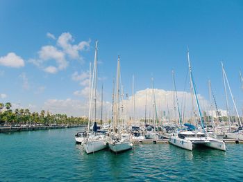 Sailboats in marina