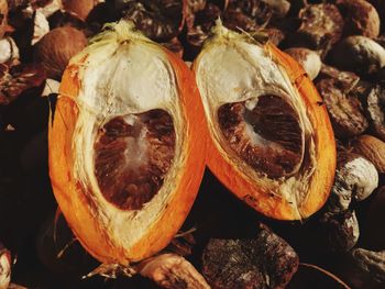 High angle view of fruits on field