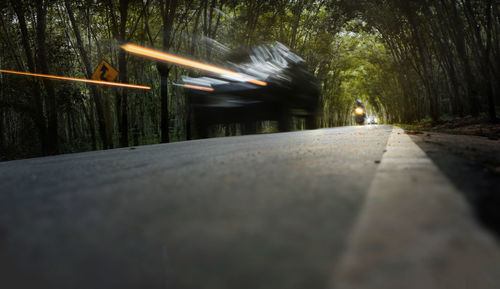 Surface level of road amidst trees in city