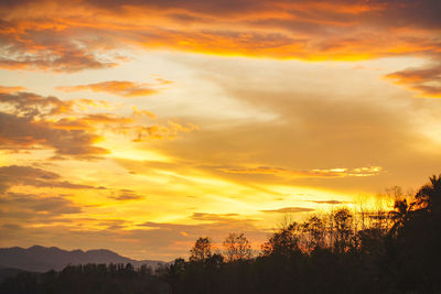 Low angle view of silhouette trees against dramatic sky