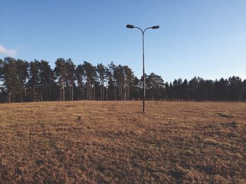 Trees on field against clear sky