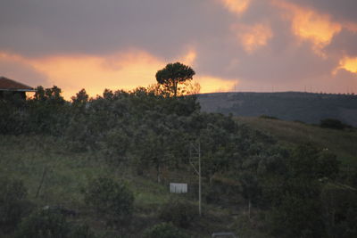 Scenic view of landscape against sky during sunset