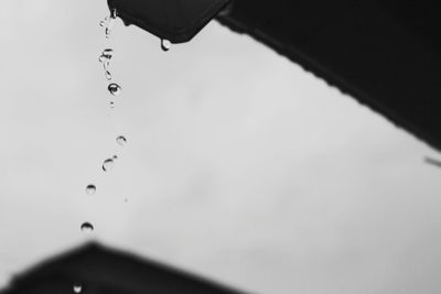 Close-up of water drops