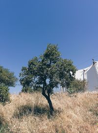 Low angle view of built structure against clear blue sky