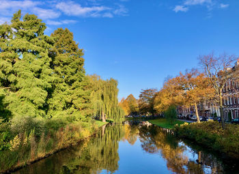 Scenic view of lake by trees against sky