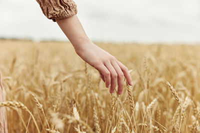 Low section of woman standing amidst wheat field