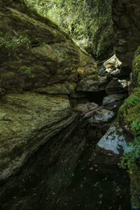 Stream flowing through rocks in forest