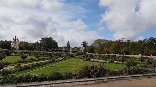 Panoramic view of trees against sky