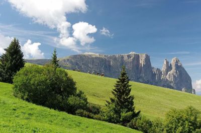 Panoramic view of landscape against sky