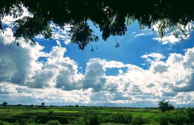 Scenic view of field against sky