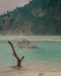 Driftwood on beach by sea against sky
