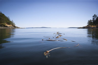 Scenic view of lake against clear sky