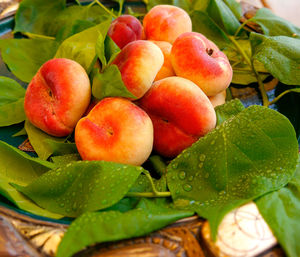 Close-up of fruits in container