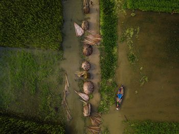 High angle view of people on field