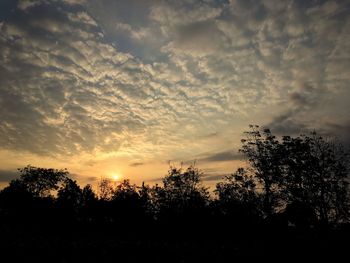 Low angle view of silhouette trees against sky during sunset