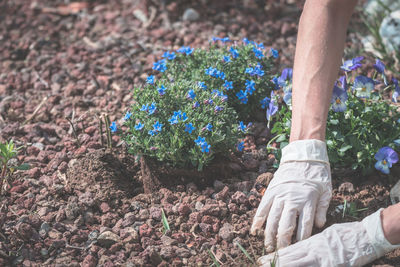 Woman working in garden