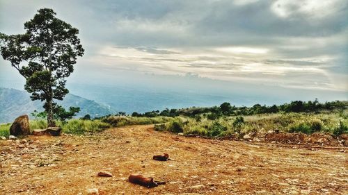 Scenic view of landscape against sky