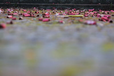 Close-up of group of people on the floor