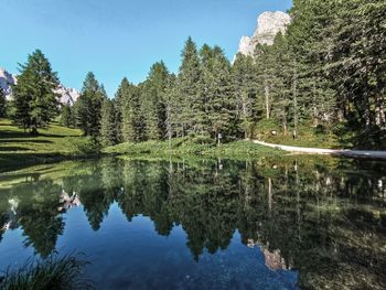 Reflection of trees in lake against sky