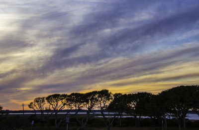 Silhouette trees against sky during sunset