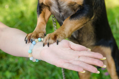 Midsection of person with dog