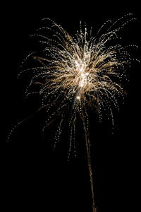 Low angle view of firework display at night