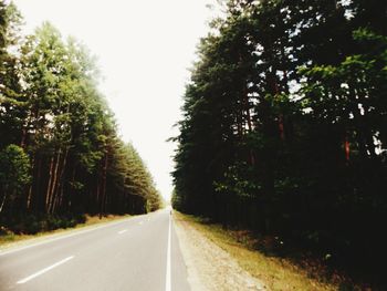 Empty road along trees