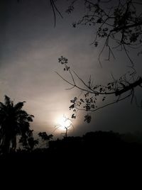 Silhouette tree against sky during sunset