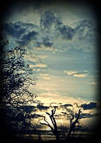 Low angle view of bare tree against cloudy sky