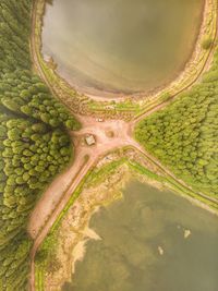 Aerial view of agricultural landscape