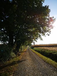 Dirt road by trees on field against sky