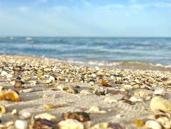 Surface level of pebbles on beach against sky