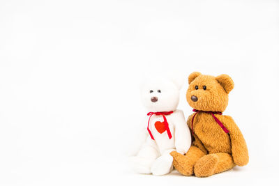 Close-up of stuffed toy against white background