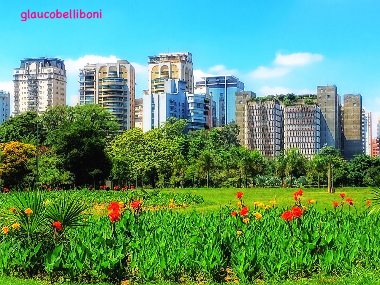 building exterior, architecture, built structure, growth, city, skyscraper, flower, modern, tree, sky, tower, office building, plant, tall - high, green color, cityscape, urban skyline, field, grass, day