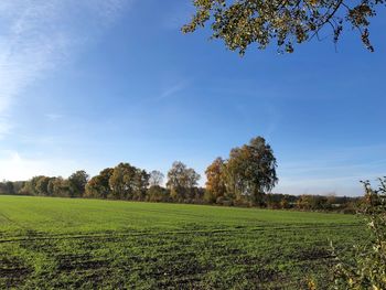 Scenic view of field against sky