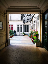 Potted plants on footpath against building