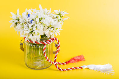 Close-up of yellow flowers in vase