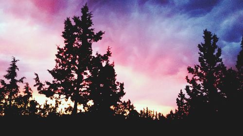 Low angle view of silhouette trees against sky at sunset