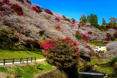 High angle view of trees and mountains against clear sky
