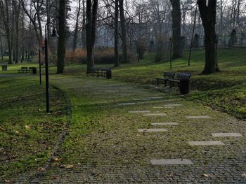 View of bare trees on landscape