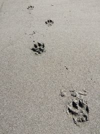 High angle view of footprints on sand