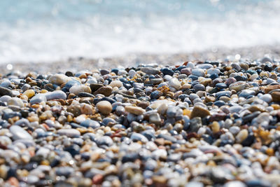 Surface level of pebbles on shore