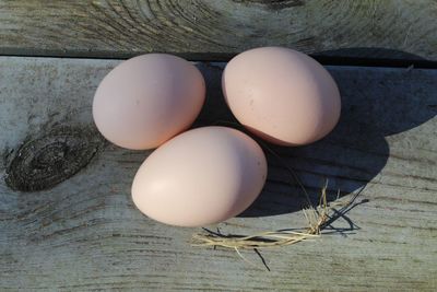 High angle view of eggs on table