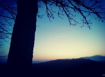 Silhouette tree against sky at sunset